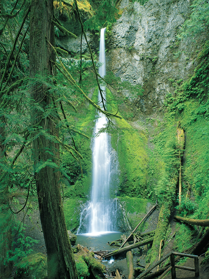 Waterfall
