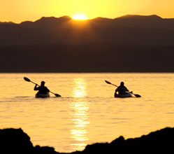 Couple Kayaking During Sunset